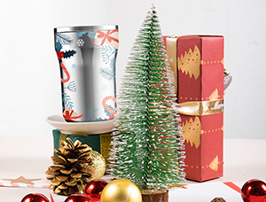 Why is Christmas an important sales season for the North American water bottle market