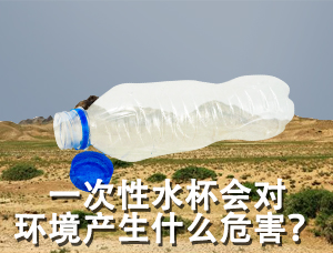 一次性水杯对环境造成什么危害