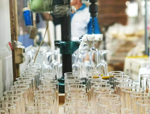 PC vs PCTG: Showdown in Plastic Water Cup Production (Part 1)