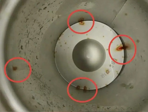 新买保温杯出现哪些情况直接退